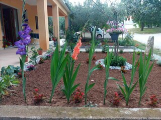 Appartamento Vrsar Registrazione all'aperto 8