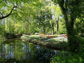 Casa per le vacanze Sint Maartenszee Ambiente 15