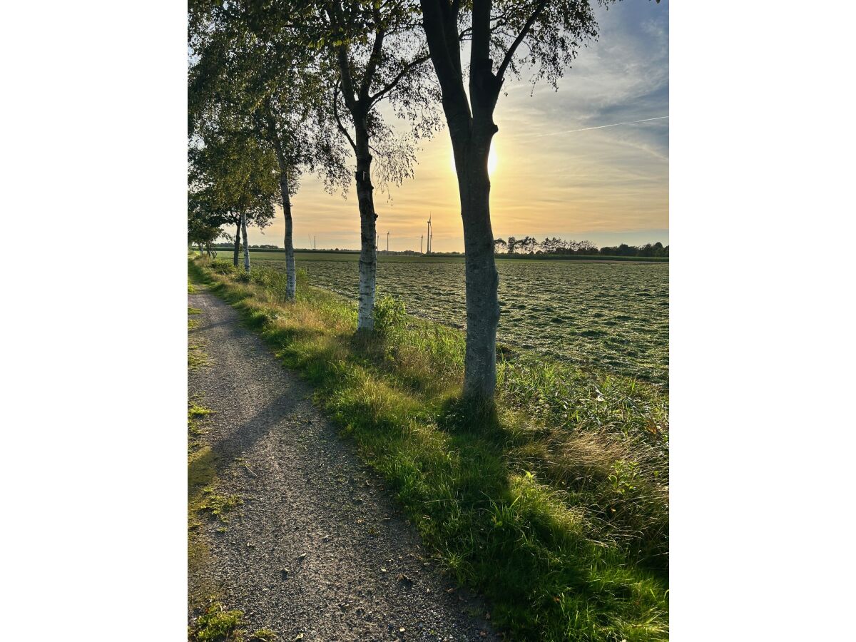 Wanderweg direkt am Ferienhaus