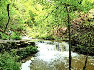 Pfad durch die Gauchachschlucht