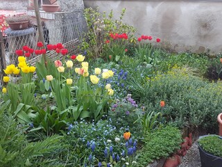 Garten im Frühling