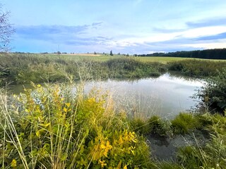 Biberteich