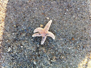 Appartamento per vacanze Domburg Ambiente 26