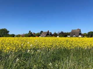 Appartamento per vacanze Großenbrode Ambiente 27