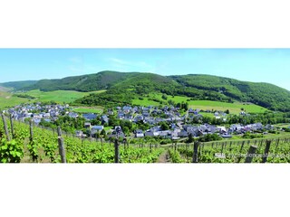 Panoramabild von Burgen