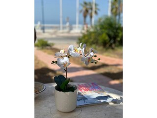 Apartment Torrox Costa  27