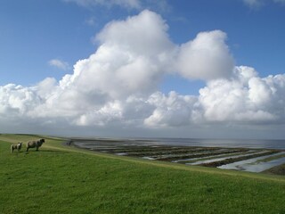 Deichidylle