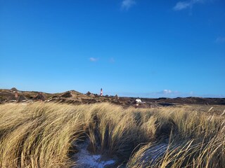 Dünenlandschaft