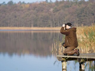 Natur beobachten