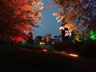 Appartamento per vacanze Merzig Ambiente 20