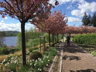 Appartamento per vacanze Merzig Ambiente 23