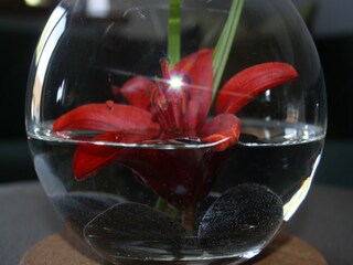 Appartamento per vacanze Merzig Caratteristiche 11