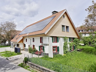 schellisvier