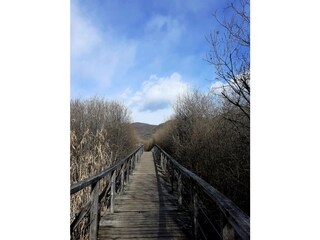 Appartamento per vacanze Kaltern Ambiente 29