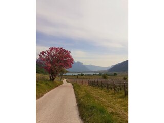 Appartamento per vacanze Kaltern Ambiente 30