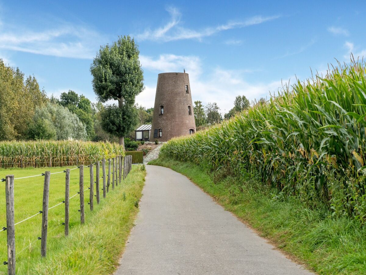 Ferienhaus Zottegem Umgebung 37