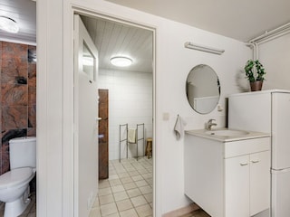 Ferienhaus Zottegem Ausstattung 30