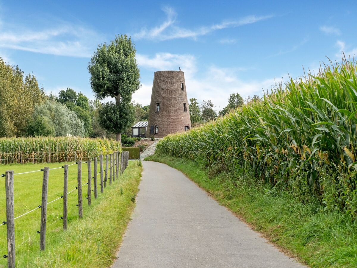 Ferienhaus Zottegem Umgebung 40