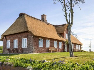 Ferienhaus Neukirchen in Nordfriesland Außenaufnahme 2