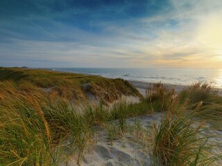 Vakantiepark Wemeldinge Omgeving 30