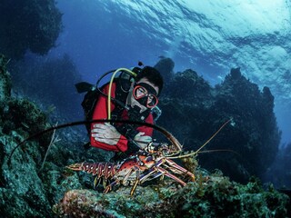 Parque de vacaciones Wemeldinge Entorno 18