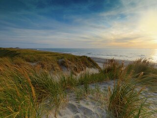 Vakantiepark Wemeldinge Omgeving 28