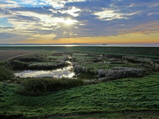 Vakantiepark Wemeldinge Omgeving 21