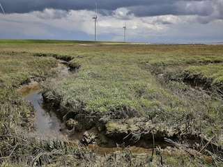 Parc de vacances Wemeldinge Environnement 19