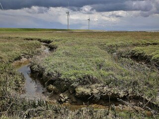 Parco vacanze Wemeldinge Ambiente 33