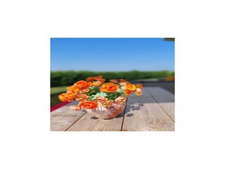 Vakantiepark Wemeldinge  38