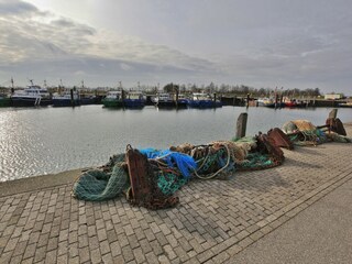 Vakantiepark Wemeldinge Omgeving 32