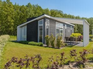 Holiday park Modern chalet at the forest edge on nice resort - Wemeldinge - image1