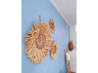 Vakantieappartement Egmond aan Zee Kenmerken 4