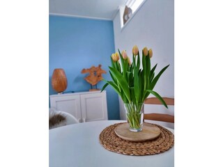 Vakantieappartement Egmond aan Zee Kenmerken 8