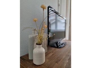 Appartamento per vacanze Egmond aan Zee Caratteristiche 6