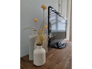 Vakantieappartement Egmond aan Zee Kenmerken 6