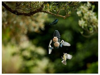 Casa per le vacanze Cotignac Ambiente 35