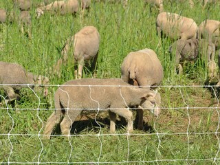 Appartamento Cotignac  36