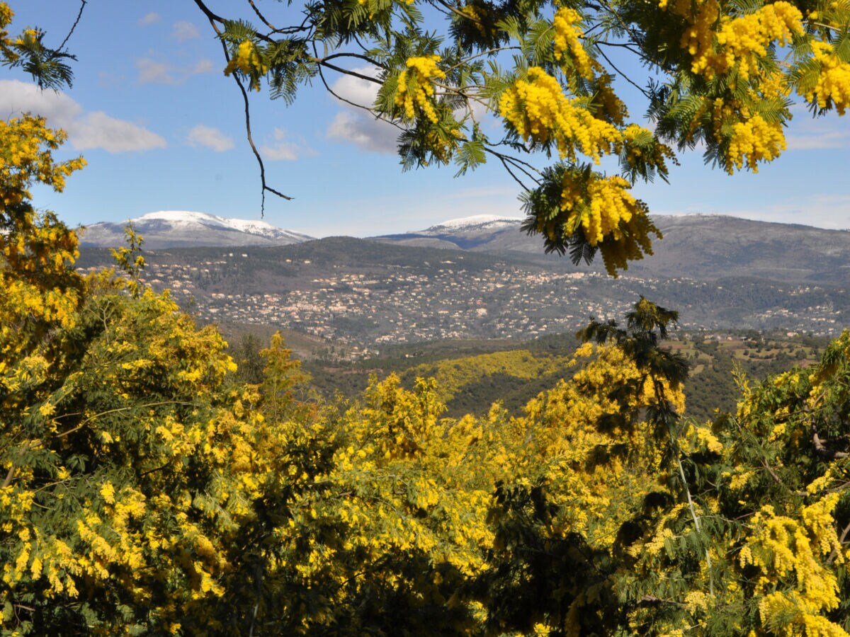 Apartment Cotignac  36