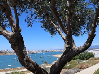 Casa per le vacanze Ferragudo Ambiente 29