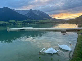 Appartamento Walchsee Ambiente 27