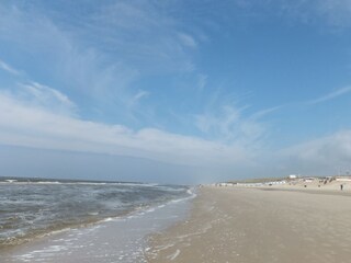 Chalet De Koog Environment 16