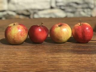 Holiday apartment Albosaggia Features 16