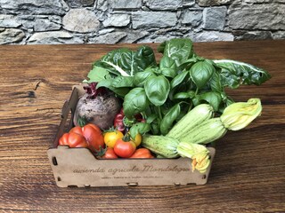 Vakantieappartement Albosaggia Buitenaudio-opname 12