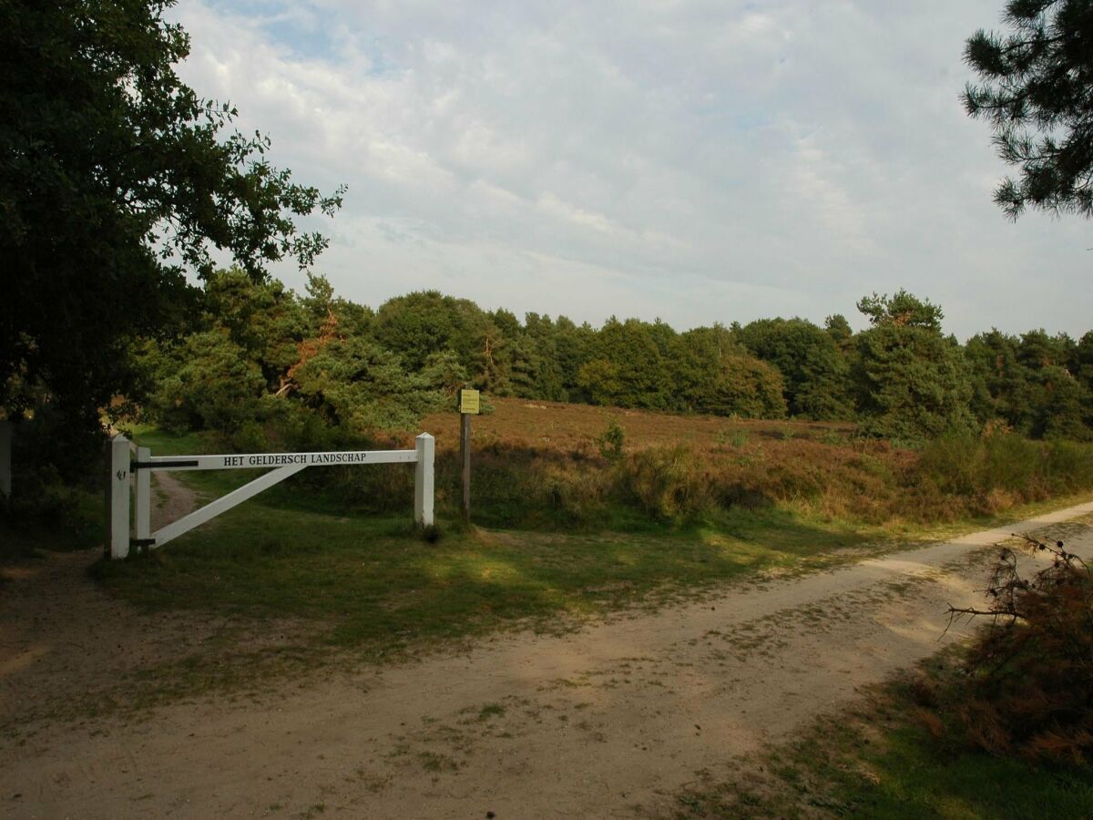 Ferienhaus Voorthuizen Umgebung 29