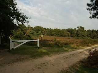 Holiday house Voorthuizen Environment 35