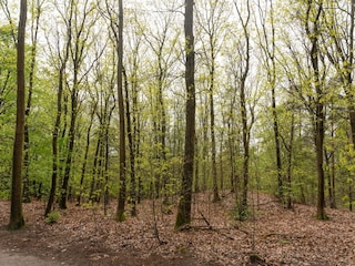 Holiday house Voorthuizen Environment 34