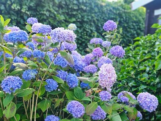 Ferienhaus Voorthuizen  38