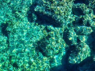 Snorkelling