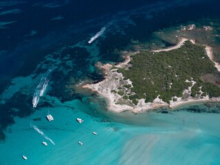 Piana island